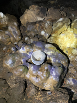 recolectivodeirrealidad.mx