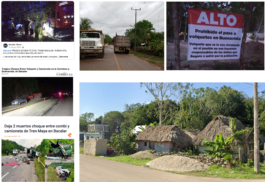 recolectivodeirrealidad.mx