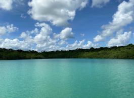 recolectivodeirrealidad.mx