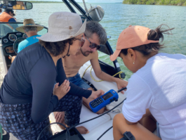 recolectivodeirrealidad.mx