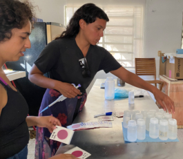 recolectivodeirrealidad.mx