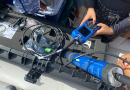 recolectivodeirrealidad.mx