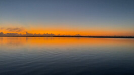 recolectivodeirrealidad.mx