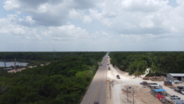 recolectivodeirrealidad.mx