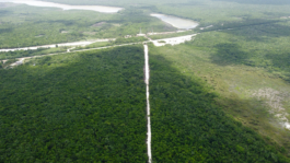 recolectivodeirrealidad.mx