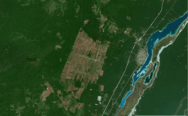 recolectivodeirrealidad.mx