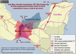 recolectivodeirrealidad.mx