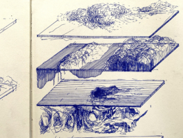 recolectivodeirrealidad.mx