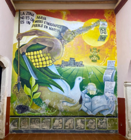 recolectivodeirrealidad.mx