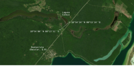 recolectivodeirrealidad.mx