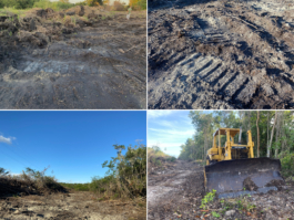 recolectivodeirrealidad.mx