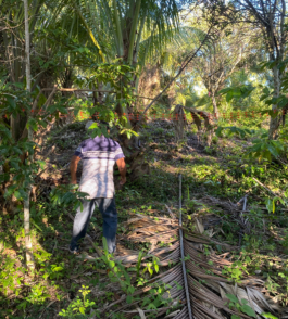 recolectivodeirrealidad.mx