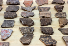 recolectivodeirrealidad.mx