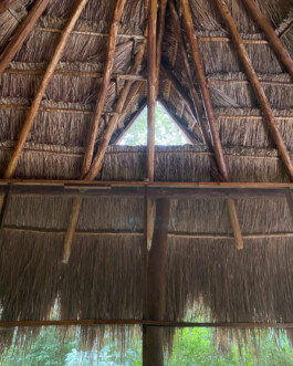 recolectivodeirrealidad.mx