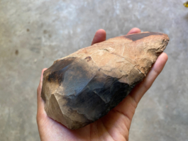 recolectivodeirrealidad.mx