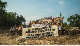 recolectivodeirrealidad.mx