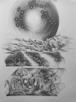 recolectivodeirrealidad.mx