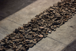 recolectivodeirrealidad.mx