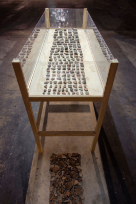 recolectivodeirrealidad.mx