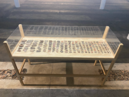 recolectivodeirrealidad.mx