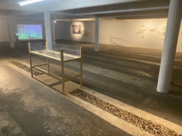 recolectivodeirrealidad.mx