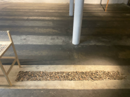 recolectivodeirrealidad.mx