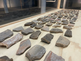 recolectivodeirrealidad.mx