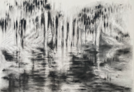 recolectivodeirrealidad.mx