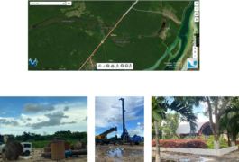 recolectivodeirrealidad.mx