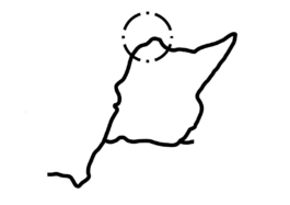 recolectivodeirrealidad.mx