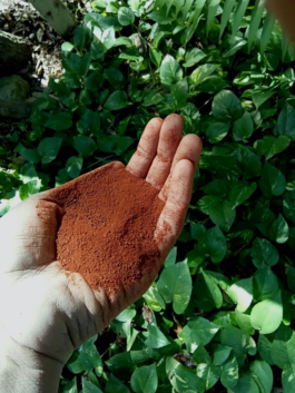 recolectivodeirrealidad.mx