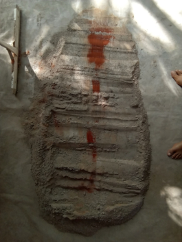 recolectivodeirrealidad.mx