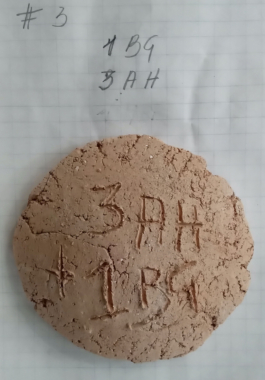 recolectivodeirrealidad.mx