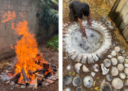 recolectivodeirrealidad.mx