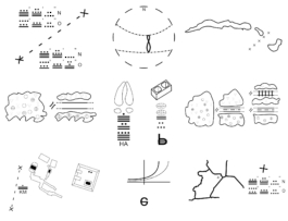recolectivodeirrealidad.mx