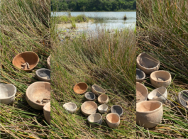 recolectivodeirrealidad.mx