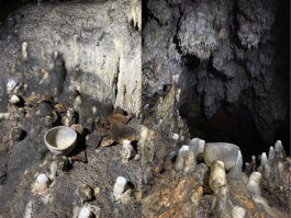 recolectivodeirrealidad.mx