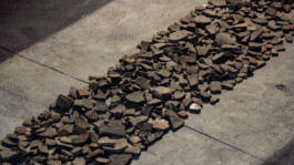 recolectivodeirrealidad.mx