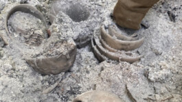 recolectivodeirrealidad.mx