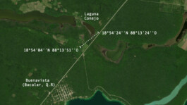 recolectivodeirrealidad.mx