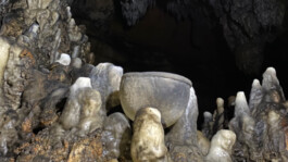 recolectivodeirrealidad.mx