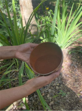 recolectivodeirrealidad.mx