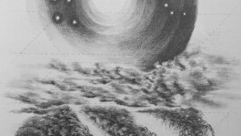 recolectivodeirrealidad.mx