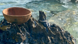 recolectivodeirrealidad.mx