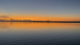 recolectivodeirrealidad.mx