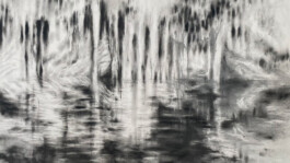 recolectivodeirrealidad.mx