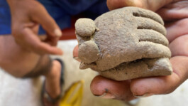 recolectivodeirrealidad.mx