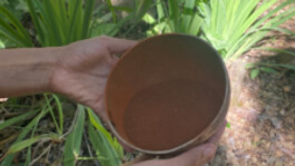 recolectivodeirrealidad.mx